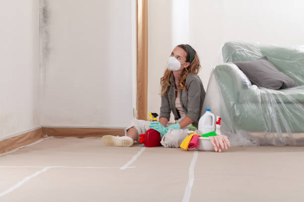 Reliable Commercial Mold Remediation contractor in Gulf, NC by WQB Mold Removal